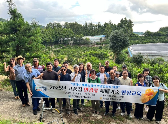 곡성군, ‘고품질 만감류 재배 현장컨...