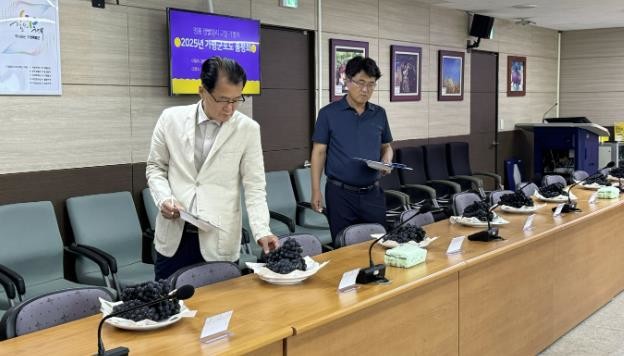 가평군, 명품 캠벨얼리 포도 품평회서...