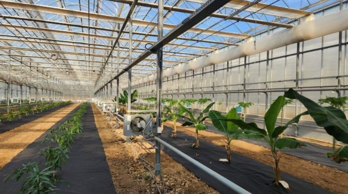 영천시, 2026년 아열대작물 창업 ...