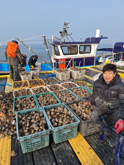 새조개 집산지 홍성 ‘남당항’ 참소라...
