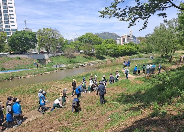 안양시, 시민 참여형 생태계 교란식물...