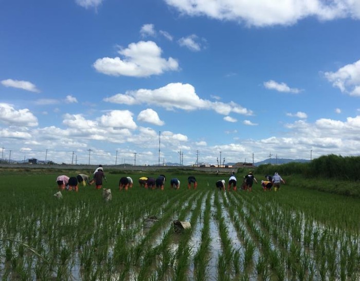 수원특례시, '생태계서비스지불...
